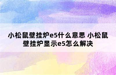 小松鼠壁挂炉e5什么意思 小松鼠壁挂炉显示e5怎么解决